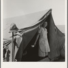 Migrant woman from Arkansas living in contractor's camp near Westley, California