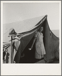 Migrant woman from Arkansas living in contractor's camp near Westley, California