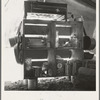 Tent interior in a labor contractor's camp, showing household equipment. Near Westley, California