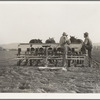 Farmers talking politics. Potato fields. California