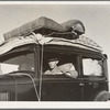 Migratory cotton picker from Kansas on highway near Merced, California