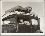 Migratory cotton picker from Kansas on highway near Merced, California