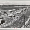 Tulare County, California. New homes for families on the Mineral King cooperative farms. This farm is situated on the site of an old ranch. Employs eighteen families; comprises 500 acres of alfalfa and cotton lands. Large-scale farming methods