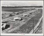 Tulare County, California. New homes for families on the Mineral King cooperative farms. This farm is situated on the site of an old ranch. Employs eighteen families; comprises 500 acres of alfalfa and cotton lands. Large-scale farming methods