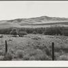 U.S. 99 on ridge over Tehachapi Mountains. Heavy truck route between Los Angeles and San Joaquin Valley over which migrants travel back and forth. California