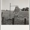Near Hanford, California. See general caption. On U.S. 99. A member of the committee from adjoining town erects sign on the highway