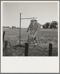 Near Hanford, California. See general caption. On U.S. 99. A member of the committee from adjoining town erects sign on the highway