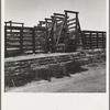 Fresno County on U.S. 99. See general caption. The end of the Chisholm Trail. Loading point for cattle shipment, showing cattle chute and part of corral