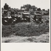 Near Tulare, California, U.S. 99. See general caption. Used car lots and auto wrecking establishments add to the litter which fronts this highway