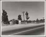 Between Tulare and Fresno, California. (See general caption)