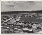 Same as 19635. General view of one end of camp showing three units of the camp, each with its sanitary building. Farmersville, Tulare County, California