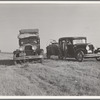 Between Tulare and Fresno. (See general caption). Two families originating from Independence, Kansas, on U.S. 99. Started out from Fresno that morning for work cotton chopping