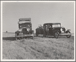 Between Tulare and Fresno. (See general caption). Two families originating from Independence, Kansas, on U.S. 99. Started out from Fresno that morning for work cotton chopping