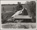 Tulare County. Mineral King Farm Cooperative Association. New barn under construction. California