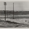 Between Tulare and Fresno. Stockyards seen from overpass. (See general caption.) California