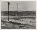 Between Tulare and Fresno. Stockyards seen from overpass. (See general caption.) California