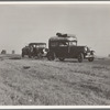 Between Tulare and Fresno (see general caption). Two families originating from Independence, Kansas, on U.S. 99. Started out from Fresno that morning for work cotton chopping