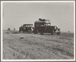 Between Tulare and Fresno (see general caption). Two families originating from Independence, Kansas, on U.S. 99. Started out from Fresno that morning for work cotton chopping