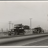 Between Tulare and Fresno. Two families originating from Independence, Kansas, on U.S. 99. Started out from Fresno that morning for work cotton chopping