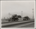 Between Tulare and Fresno. Two families originating from Independence, Kansas, on U.S. 99. Started out from Fresno that morning for work cotton chopping