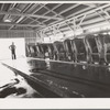Tulare County, California. Farm Security Administration (FSA) Mineral King Farm Cooperative Association. The dairy employs three of the farmers who belong to the association full time