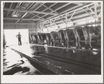 Tulare County, California. Farm Security Administration (FSA) Mineral King Farm Cooperative Association. The dairy employs three of the farmers who belong to the association full time