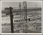 Between Tulare and Fresno, California. From the overpass approaching Fresno