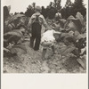 Children helping father, tobacco sharecropper, at work in tobacco patch. Person County, North Carolina