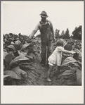 Tobacco sharecropper and daughter in field. Person County, North Carolina. July 1939