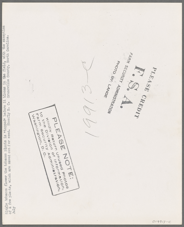 Index