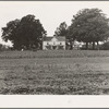 Prosperous farmer's house and farm landscape seen from the road. Field of peas, corn and corner crop in grass lawn. Tobacco packhouse on the left, behind which is the tobacco barn not visible, well on the right. Near Colbreth, North Carolina