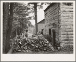 Putting in tobacco after the morning work. Shoofly, North Carolina