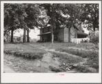 The one-and-a-half story part of this house was built fifty to sixty years ago. The two-story part was built in 1900. Farm is owned by a woman whose husband died seventeen years ago. Person County, North Carolina