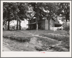 The one-and-a-half story part of this house was built fifty to sixty years ago. The two-story part was built in 1900. Farm is owned by a woman whose husband died seventeen years ago. Person County, North Carolina