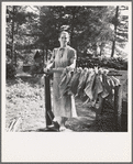 Wife of tenant farmer, Mrs. Oakley, works stringing tobacco during the harvest season. Granville County, North Carolina