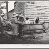Families stringing tobacco brought in from the field by sled. Granville County, North Carolina