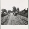 Mr. Taylor and wage laborer slide the tobacco to barn from the field, about quarter of a mile. Granville County, North Carolina