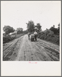 Mr. Taylor and wage laborer slide the tobacco to barn from the field, about quarter of a mile. Granville County, North Carolina