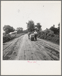 Mr. Taylor and wage laborer slide the tobacco to barn from the field, about quarter of a mile. Granville County, North Carolina