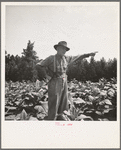 Tobacco farmer, owner of 100 acres. Person County, North Carolina