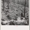 Logged over land along U.S. 99. Southern Oregon
