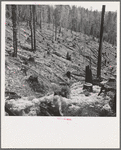 Logged over land along U.S. 99. Southern Oregon