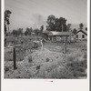 Home, self-built in two years, bit by bit. Have cow, calf, chickens, barn. Family originally came from Michigan. Husband now has job in garage. Yakima, Washington
