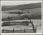 Desert stock farm, south central Washington, in region where much land has been overgrazed. Washington, Klickitat County