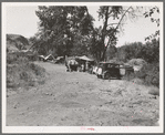 Three migratory families in "Ramblers Park." Washington, Yakima Valley