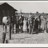 Washington, Yakima Valley, near Wapato. Rural Rehabilitation (Farm Security Administration). Chris Adolf, his wife, six of their eight children and his teams