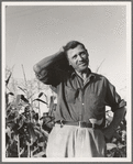 Washington, Yakima Valley. Drought refugee, aged sixty three, from Bismark, North Dakota. "Came to Washington three years ago in that Chevy coupe you see over there and twenty-five dollars cash. Had 480 acres back there ..."