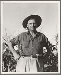 Washington, Yakima Valley. Drought refugee, aged sixty three, from Bismark, North Dakota. "Come to Washington three years ago in that Chevy coupe you see over there and twenty-five dollars cash. Had 480 acres back there ..."