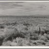 Washington, Grant County, north of Quincy. Abandoned farmland in the Columbia Basin