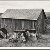 Western Washington, Thurston County, near Michigan Hill. Part of stump farm